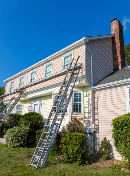 Best Steel Siding Installation  in Elba, AL