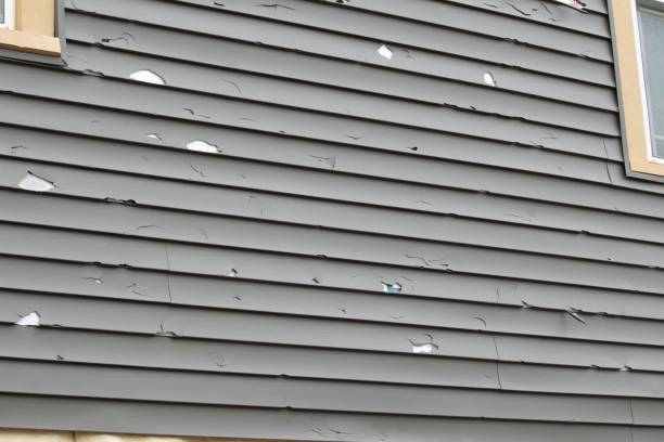 Best Weatherproofing and Sealing  in Elba, AL