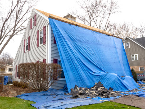 Best Storm Damage Siding Repair  in Elba, AL