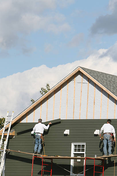 Best Fascia and Soffit Installation  in Elba, AL