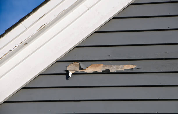 Best Aluminum Siding Installation  in Elba, AL