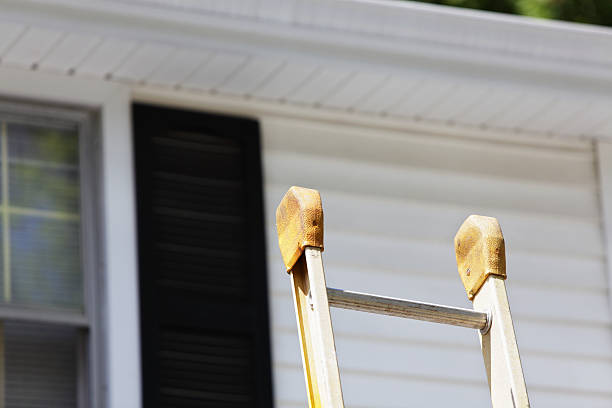 Best Siding Removal and Disposal  in Elba, AL