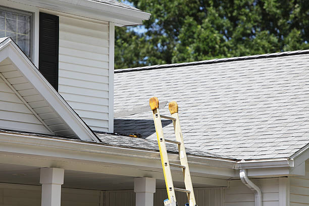 Best Custom Trim and Detailing for Siding  in Elba, AL