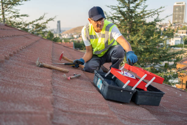Best Storm Damage Siding Repair  in Elba, AL